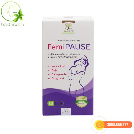 FÉMI PAUSE