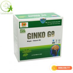 GINKO G9